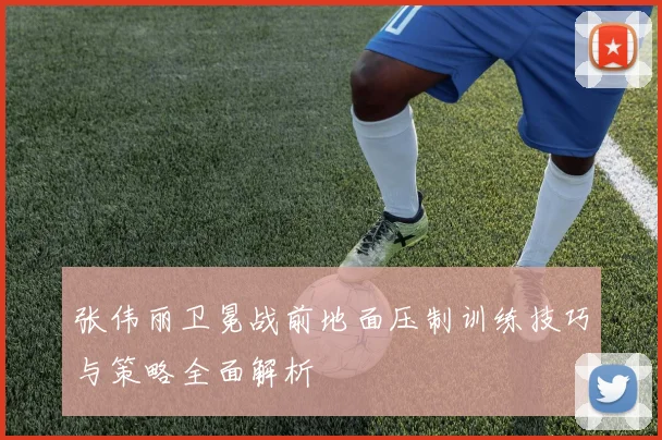 张伟丽卫冕战前地面压制训练技巧与策略全面解析